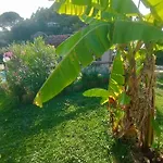 De Crasto -
